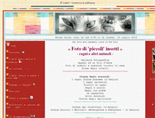 Tablet Screenshot of lucianabartolini.net
